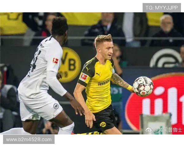 和睦法兰克福俱乐部引进新援并准备迎战新赛季,期待冲击欧战资格 和睦法兰克福俱乐部引进新援并准备迎战新赛季,期待冲击欧战资格