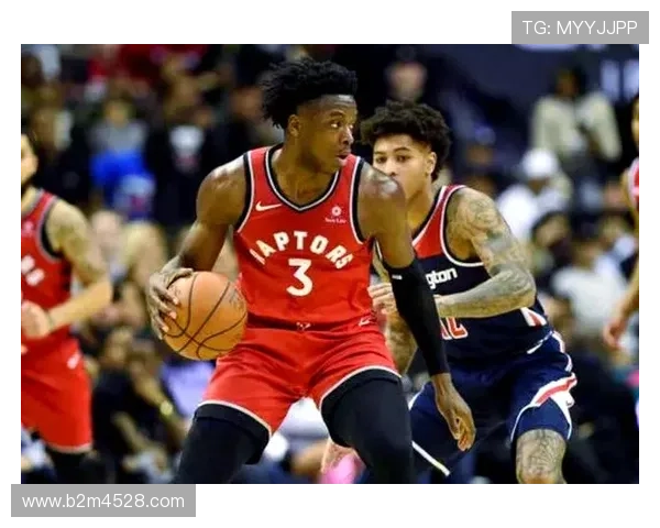 猛龙队重塑辉煌之路 从新星崛起到冠军梦想的全面分析